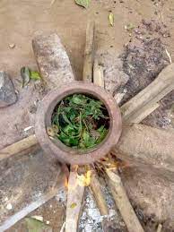 Le rituel de purification d'eau avec des plantes naturelles consiste à utiliser certaines herbes ou fleurs spécifiques pour nettoyer