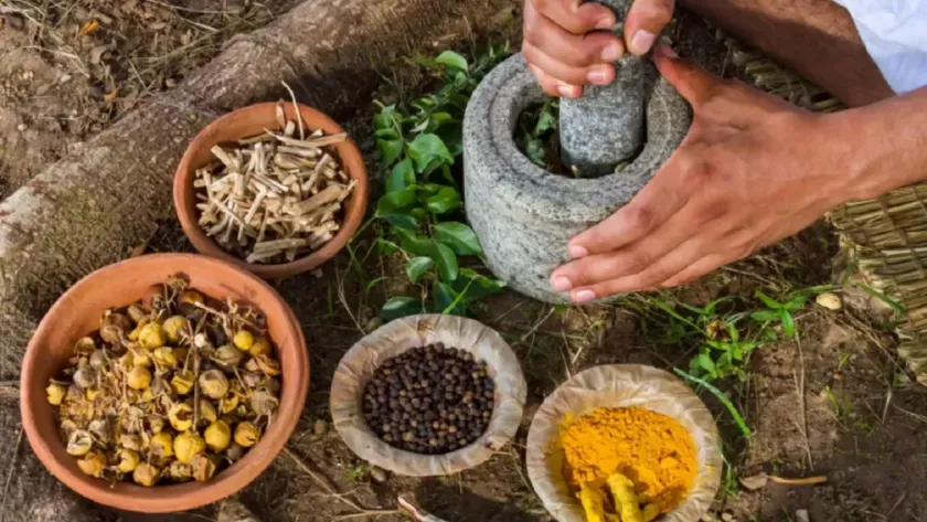 La Médecine Traditionnelle Africaine (MTA) est un système de santé holistique et ancestral qui a survécu à travers les âges, bien avant...