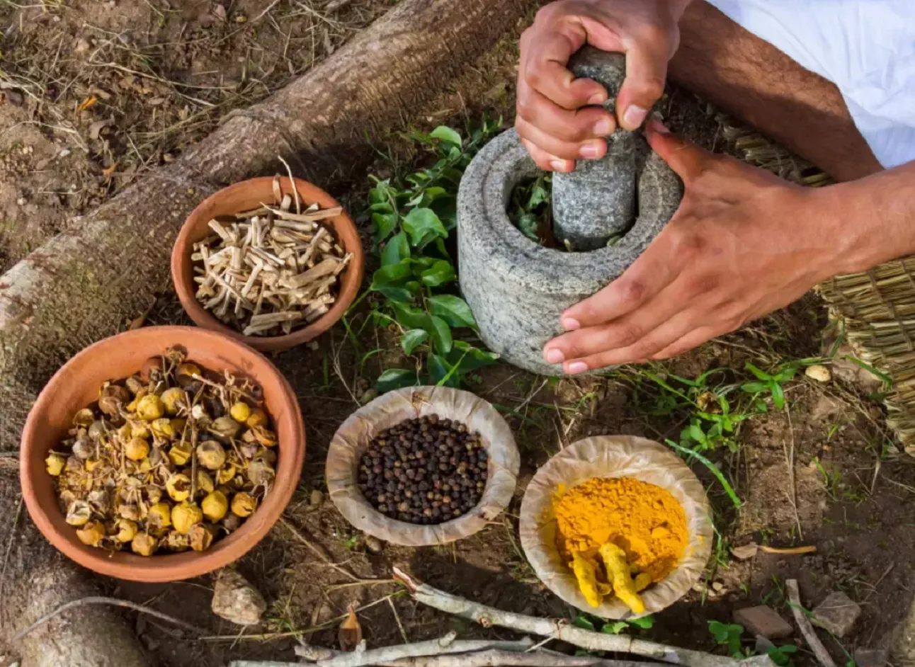 La Médecine Traditionnelle Africaine (MTA) est un système de santé holistique et ancestral qui a survécu à travers les âges, bien avant...